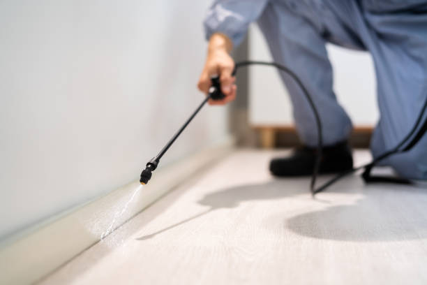 Licensed Fumigation Services service in Ilchester, MD - Nex Pest Control